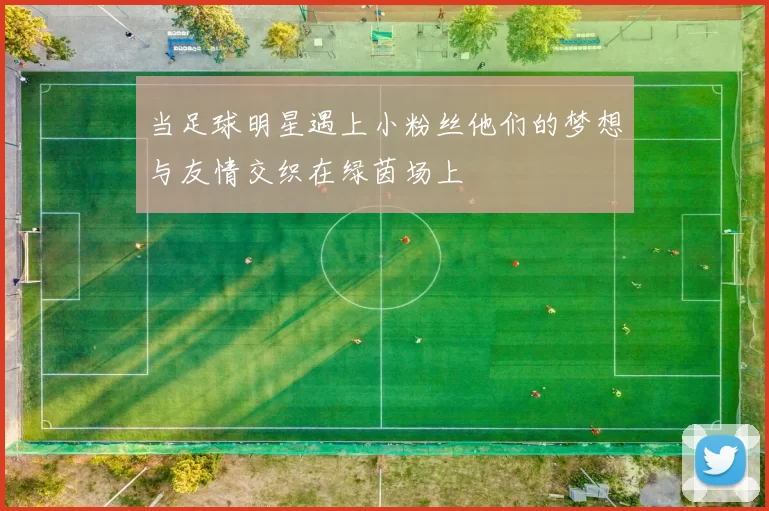 当足球明星遇上小粉丝他们的梦想与友情交织在绿茵场上