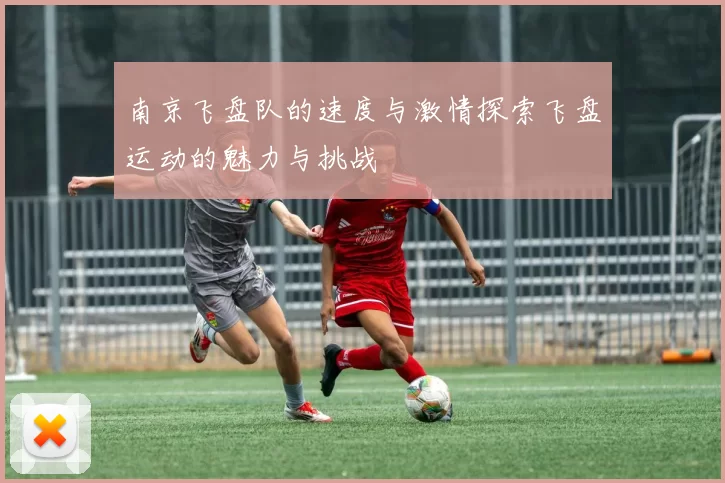 南京飞盘队的速度与激情探索飞盘运动的魅力与挑战