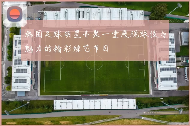 韩国足球明星齐聚一堂展现球技与魅力的精彩综艺节目