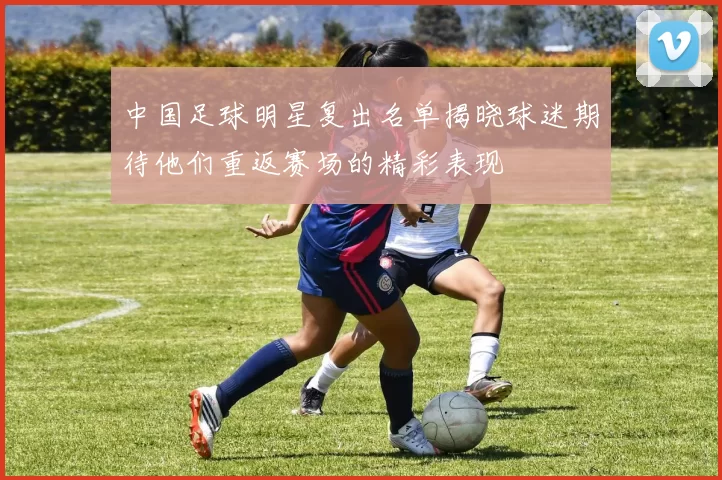 中国足球明星复出名单揭晓球迷期待他们重返赛场的精彩表现