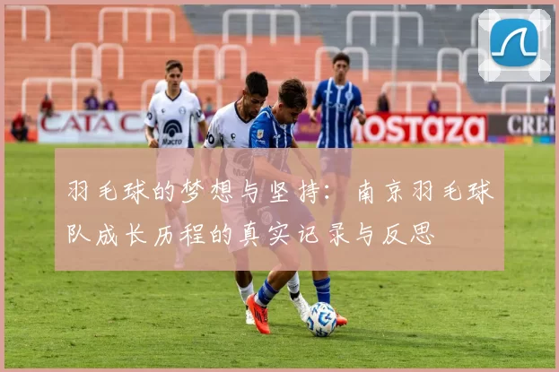 羽毛球的梦想与坚持：南京羽毛球队成长历程的真实记录与反思