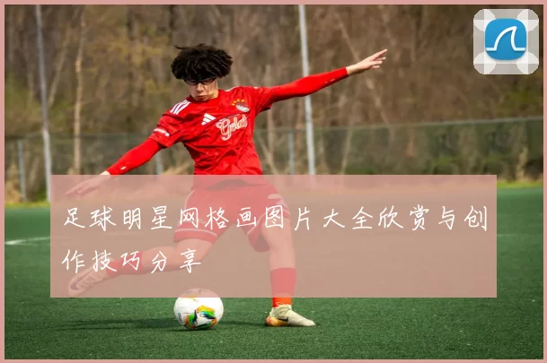 足球明星网格画图片大全欣赏与创作技巧分享