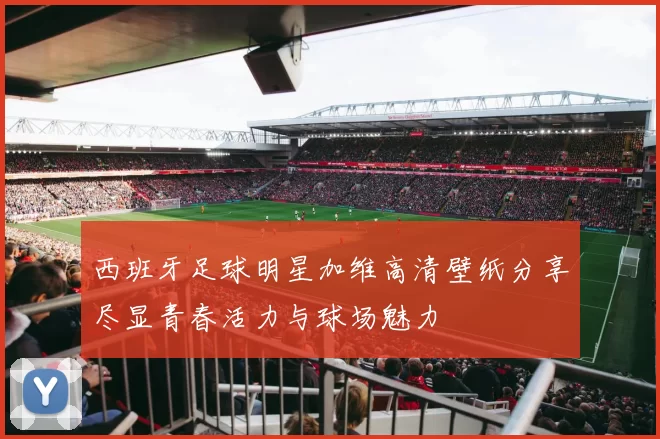西班牙足球明星加维高清壁纸分享尽显青春活力与球场魅力
