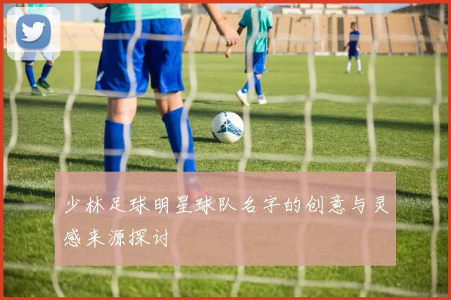 少林足球明星球队名字的创意与灵感来源探讨