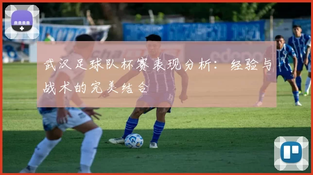 武汉足球队杯赛表现分析：经验与战术的完美结合