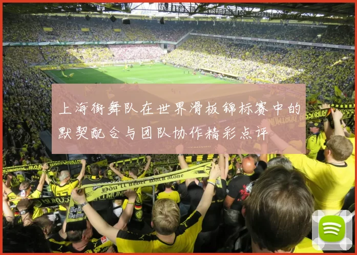 上海街舞队在世界滑板锦标赛中的默契配合与团队协作精彩点评