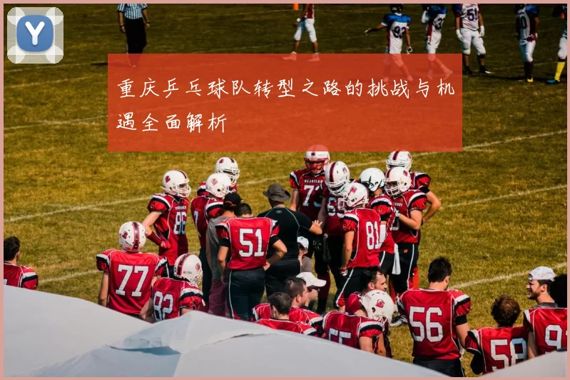 重庆乒乓球队转型之路的挑战与机遇全面解析