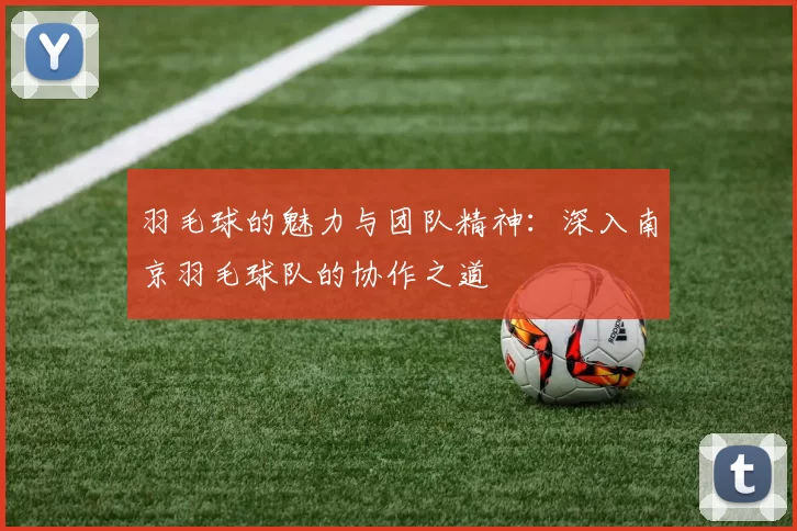 羽毛球的魅力与团队精神：深入南京羽毛球队的协作之道