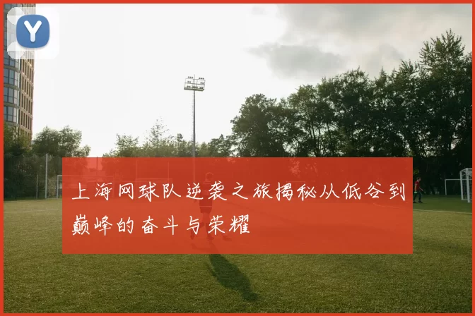 上海网球队逆袭之旅揭秘从低谷到巅峰的奋斗与荣耀
