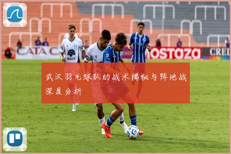 武汉羽毛球队的战术揭秘与阵地战深度分析