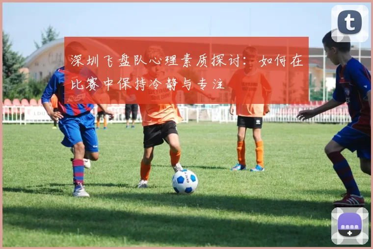 深圳飞盘队心理素质探讨：如何在比赛中保持冷静与专注