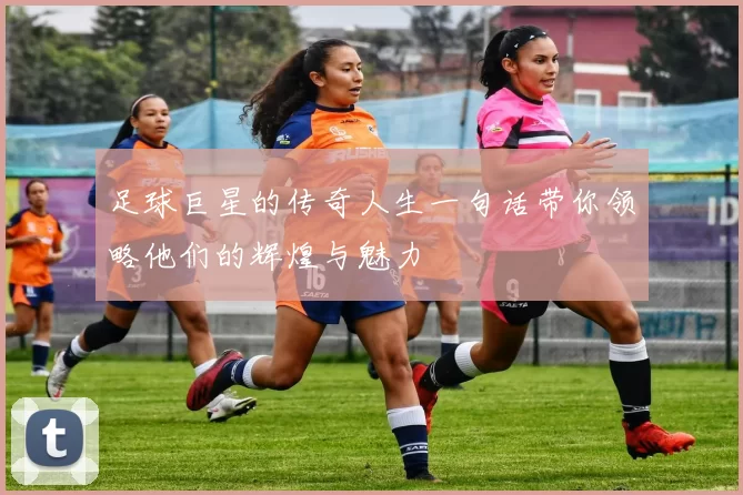 足球巨星的传奇人生一句话带你领略他们的辉煌与魅力