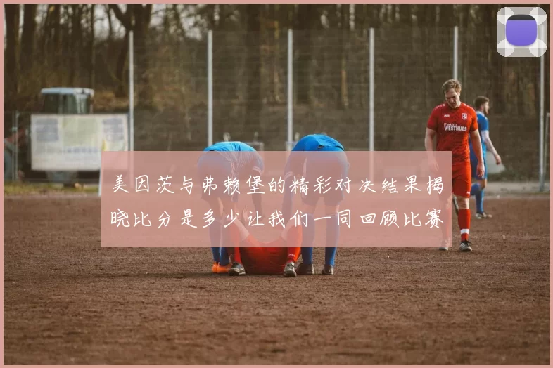 美因茨与弗赖堡的精彩对决结果揭晓比分是多少让我们一同回顾比赛亮点