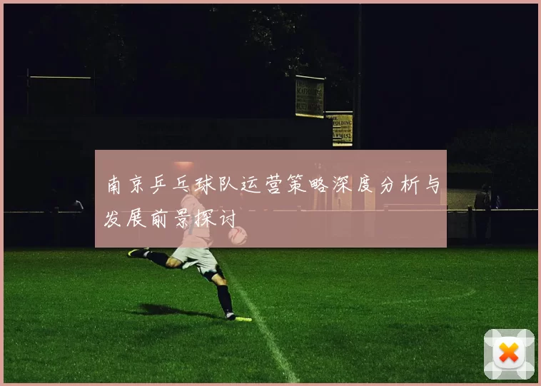 南京乒乓球队运营策略深度分析与发展前景探讨