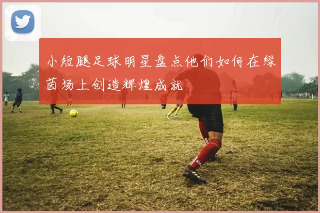 小短腿足球明星盘点他们如何在绿茵场上创造辉煌成就