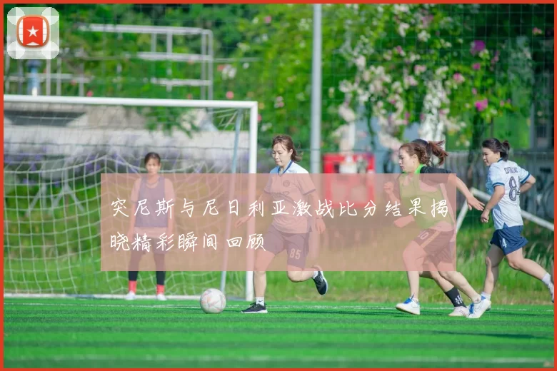 突尼斯与尼日利亚激战比分结果揭晓精彩瞬间回顾