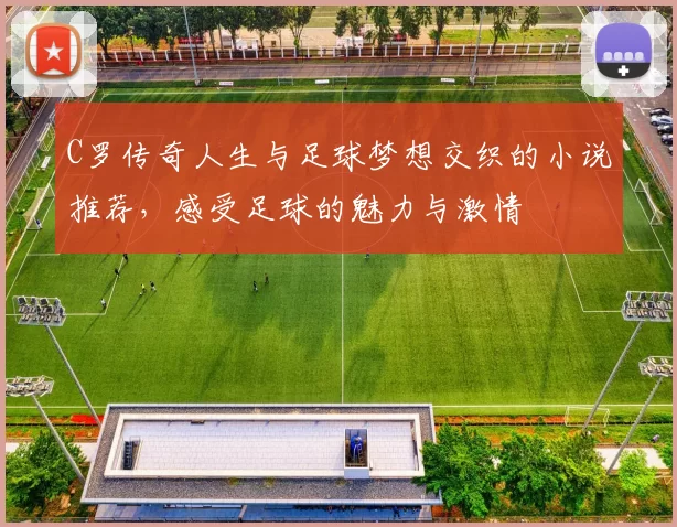 C罗传奇人生与足球梦想交织的小说推荐，感受足球的魅力与激情